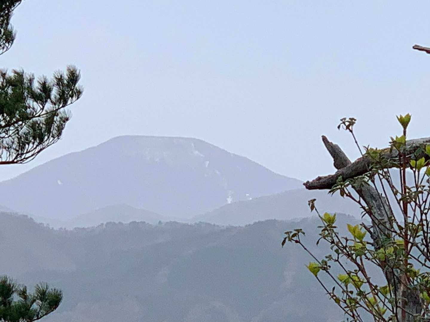 達居森 周回コースの写真