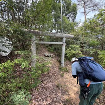 山の頂上が雷電神社の奥之院になってました⛩️
また今度涼しくなったら来よう😊