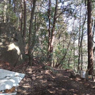 ハイキングコースのトラップだった倉庫が消えていました