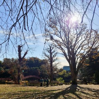 地面に映る木陰すらも美しい〰️👏