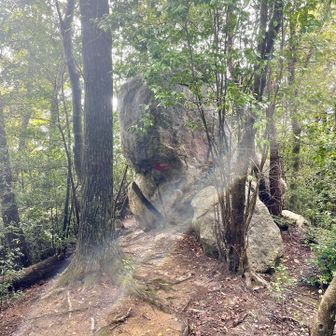 7座目の龍王山へいきます。