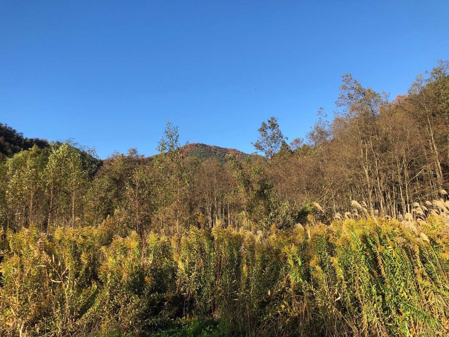 小谷山 周回コースの写真