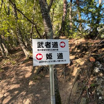もちろん険しい武者道を選択‼️