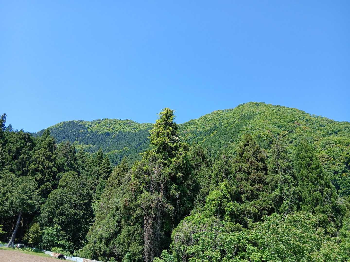 今日登った青葉山東峰と西峰
