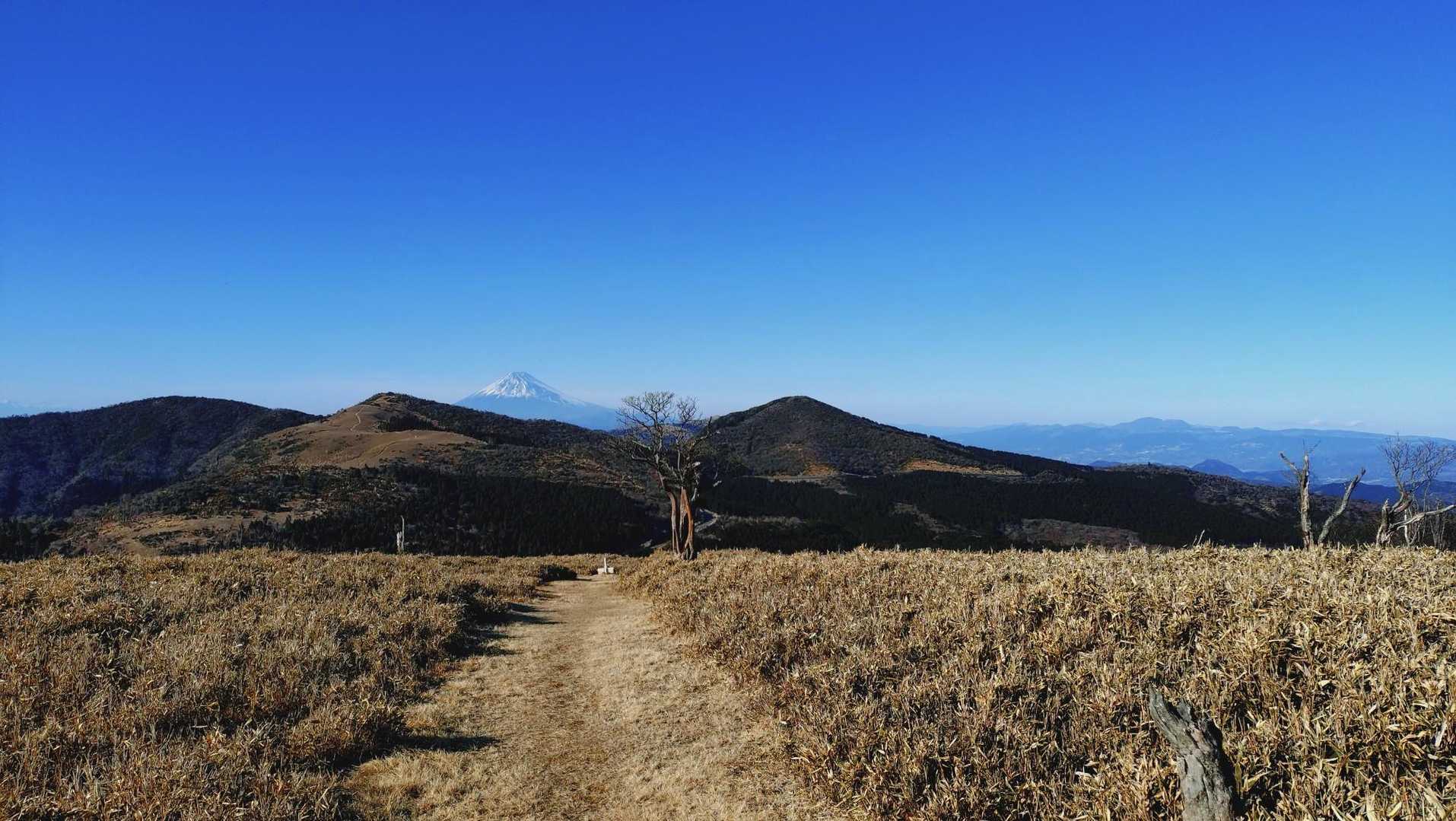 今日は一日富士山が綺麗です💓