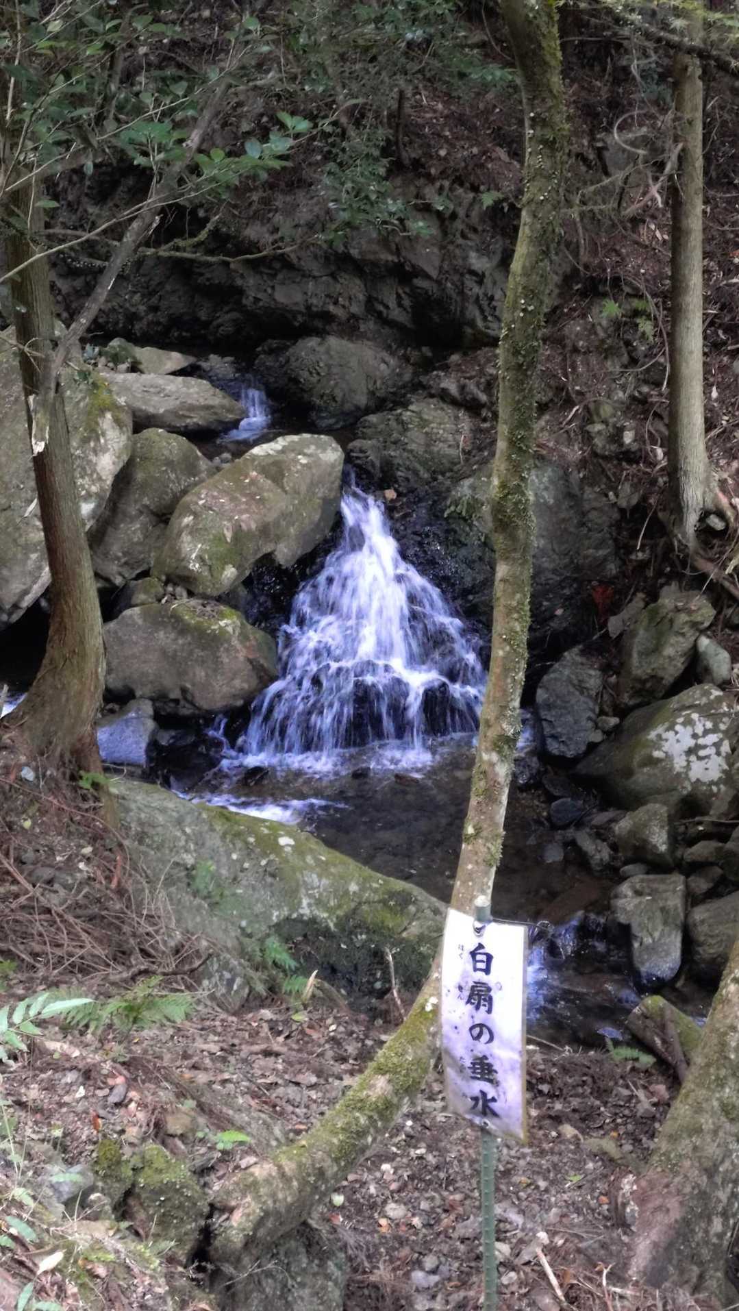 白扇の垂水