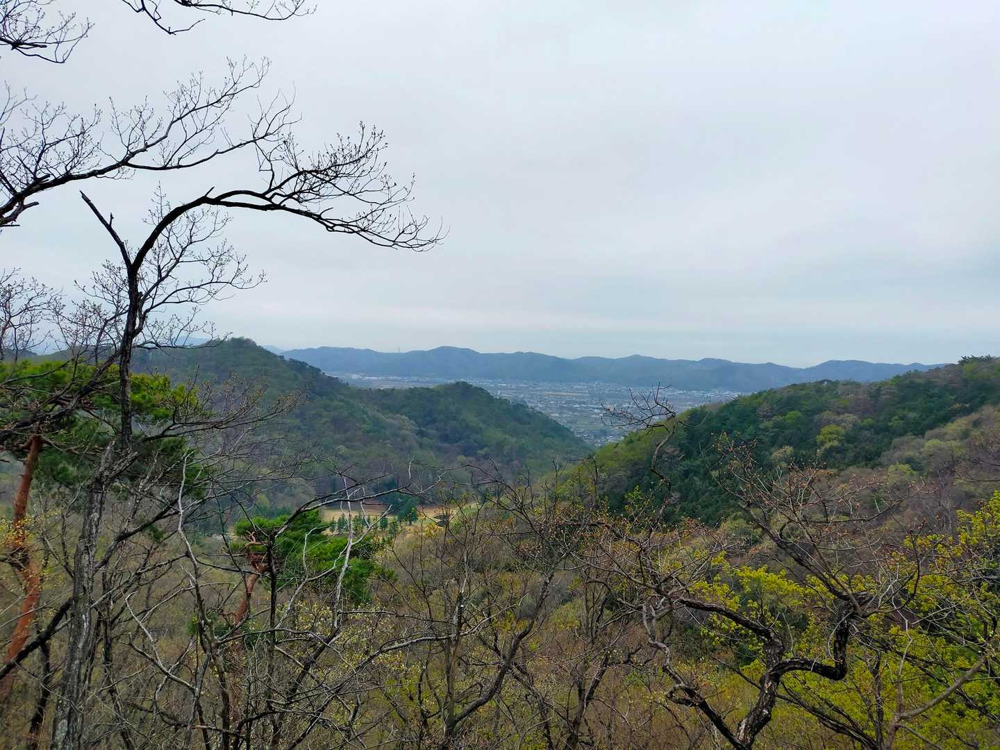 城山-ヤシオ山-姥穴山-白葉峠-高萩山 縦走コースの写真