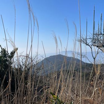 あの山⛰️から歩いてきたー‼️