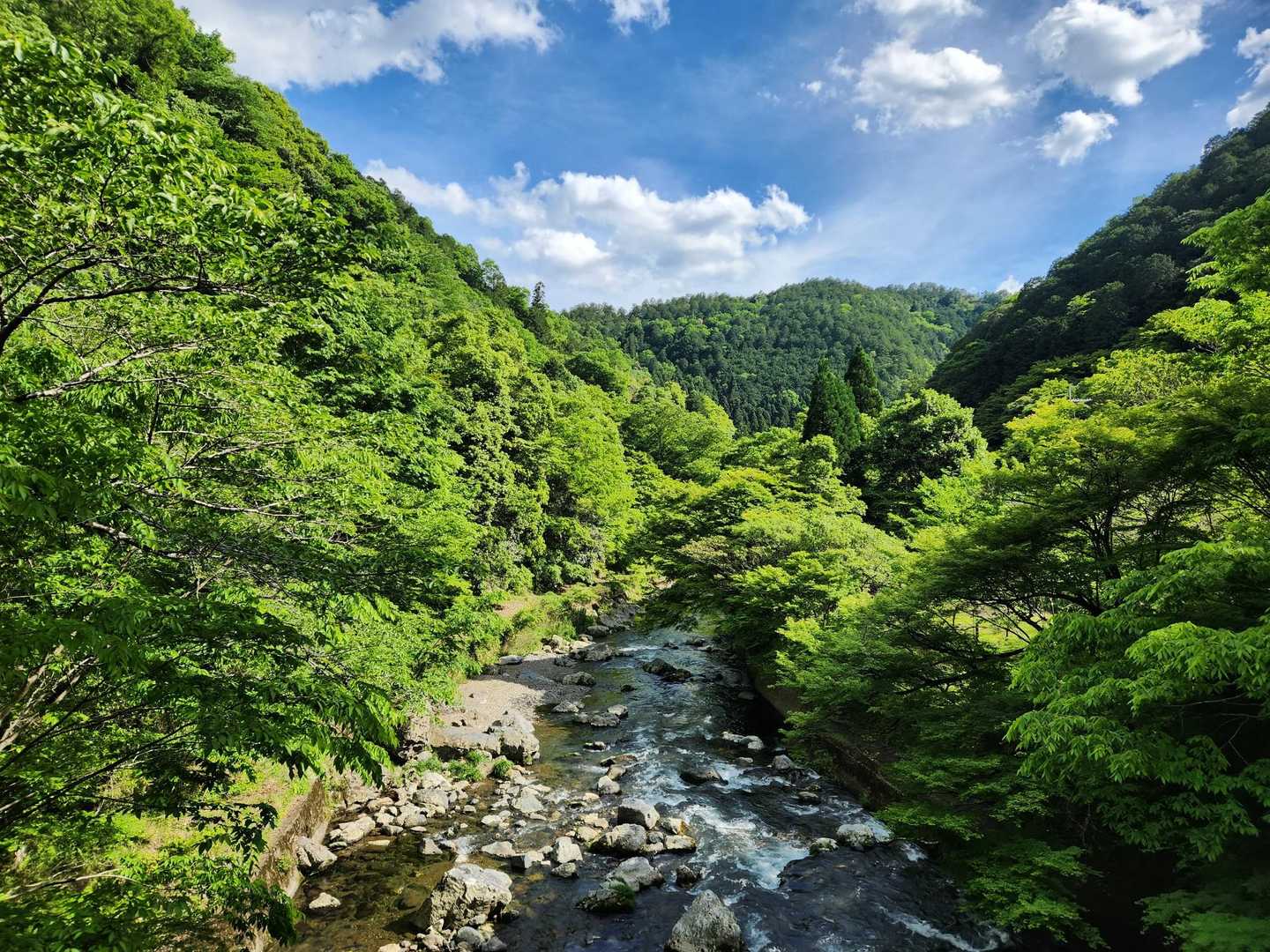 愛宕山 / あっきーの登山データ | YAMAP / ヤマップ