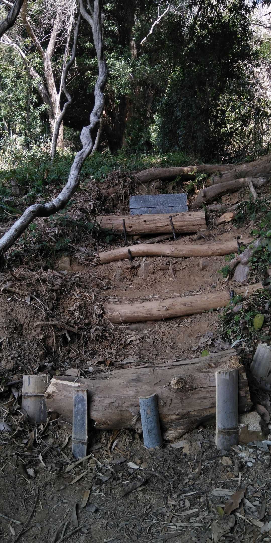 ⛑️⛏️⚒️ありがとうございます。