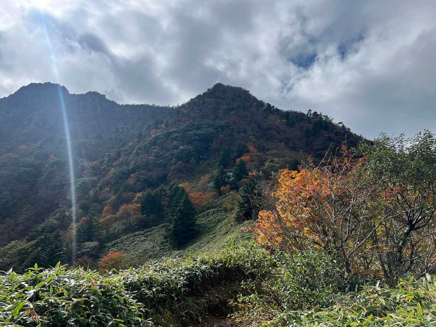 どこを見ても美しい🍁