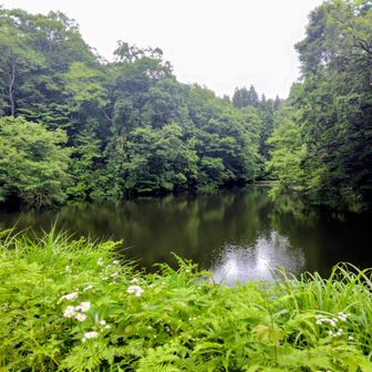 牛ケ谷池