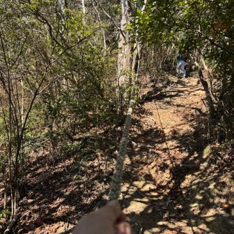 ロープ頼りに激登り