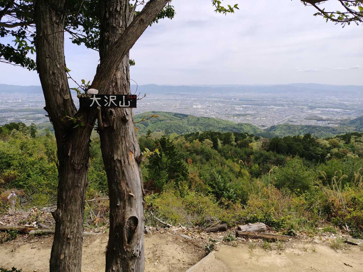 本日の一座目、大沢山