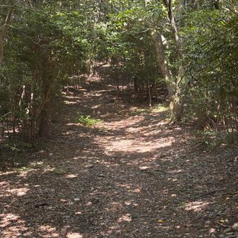 少し湿気があります🚶‍♂️‍➡️