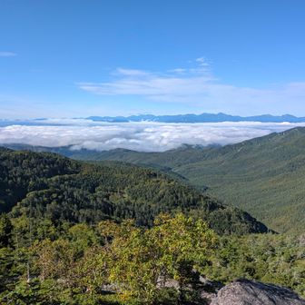 夢の庭園から