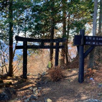 月山の山頂にある鳥居