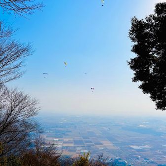 パラグライダーたくさん飛んでました🪽