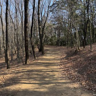 今日は一日中歌ってます♪( ´▽｀)