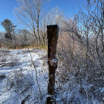 これ、熊さん🐻だよね💦