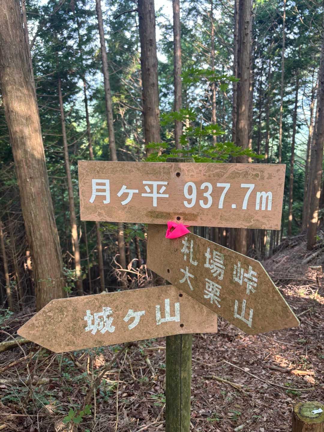 大栗山-月ヶ平-夏焼城ヶ山 往復コースの写真