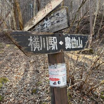 やっと戻れました