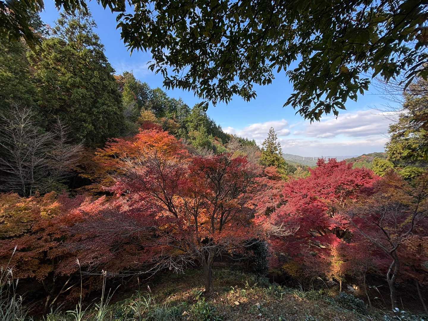 宮路山 往復コースの写真
