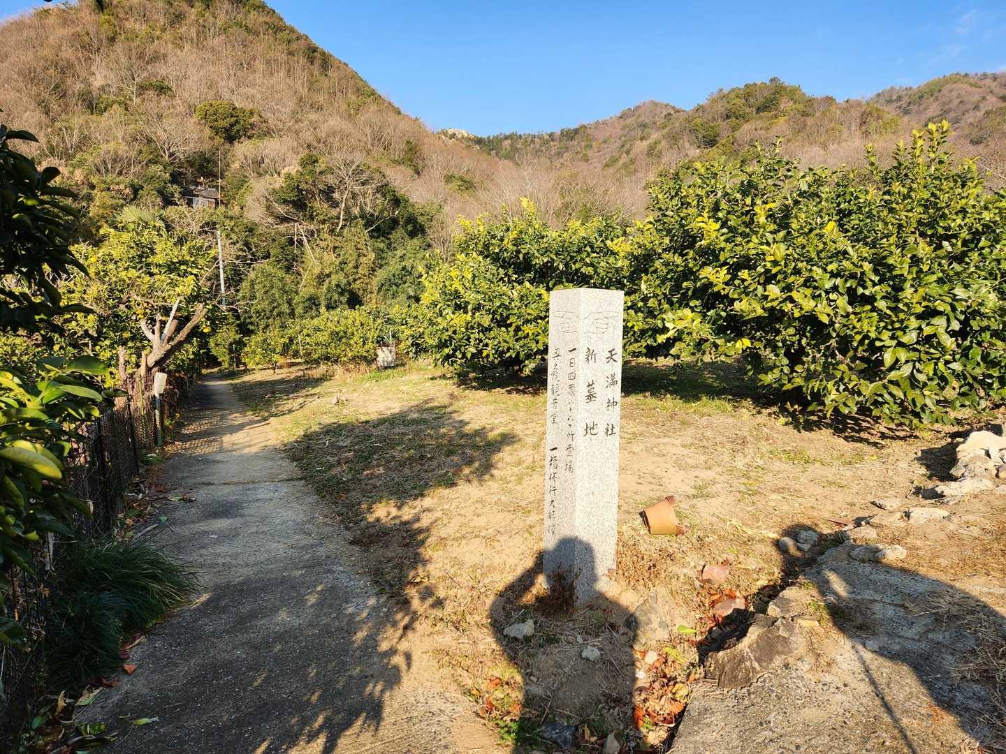 石標識から左が登山口