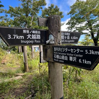 帰りは石棚山稜経由で下山
なかなかトリッキー💦
※このところの雨で木道がスケートリンク並み😱