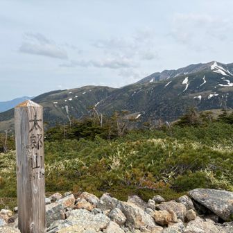 目的の太郎山www