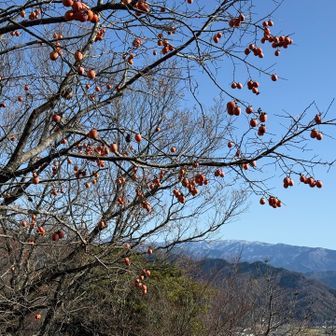 氷ノ山は少し白いね🤍