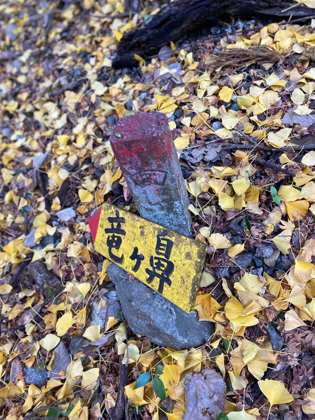 いよいよ取り付き。