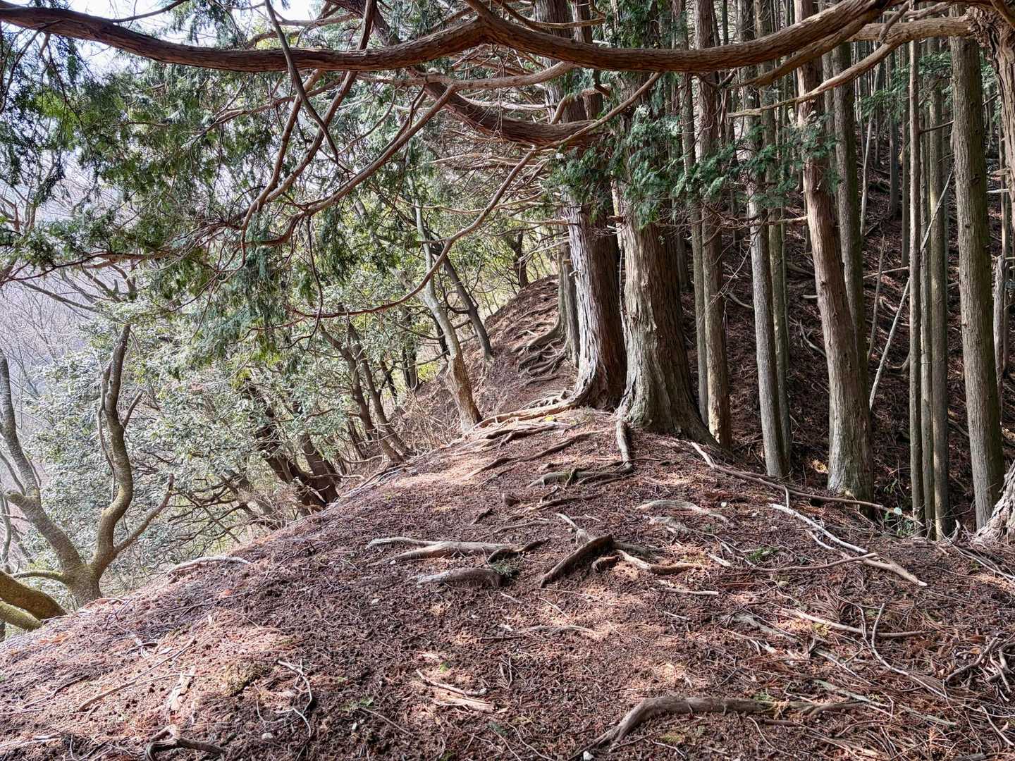鈴の音アルプス（桝形山-鉢ヶ峰-日川富士-観音岳） 縦走コースの写真