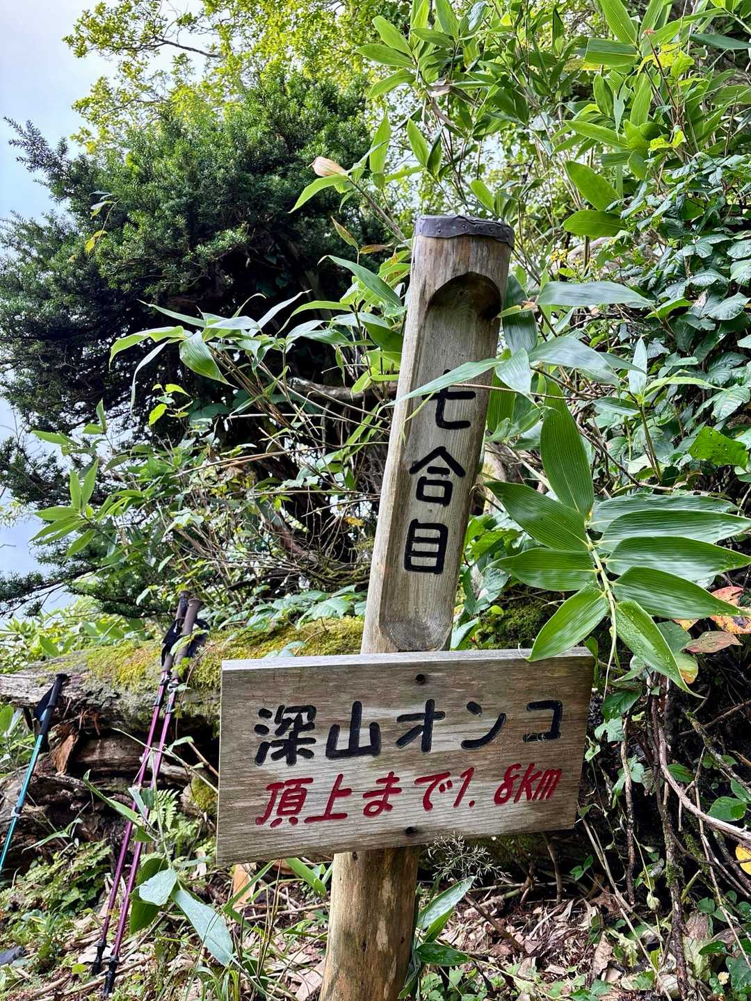 三頭山 往復コースの写真