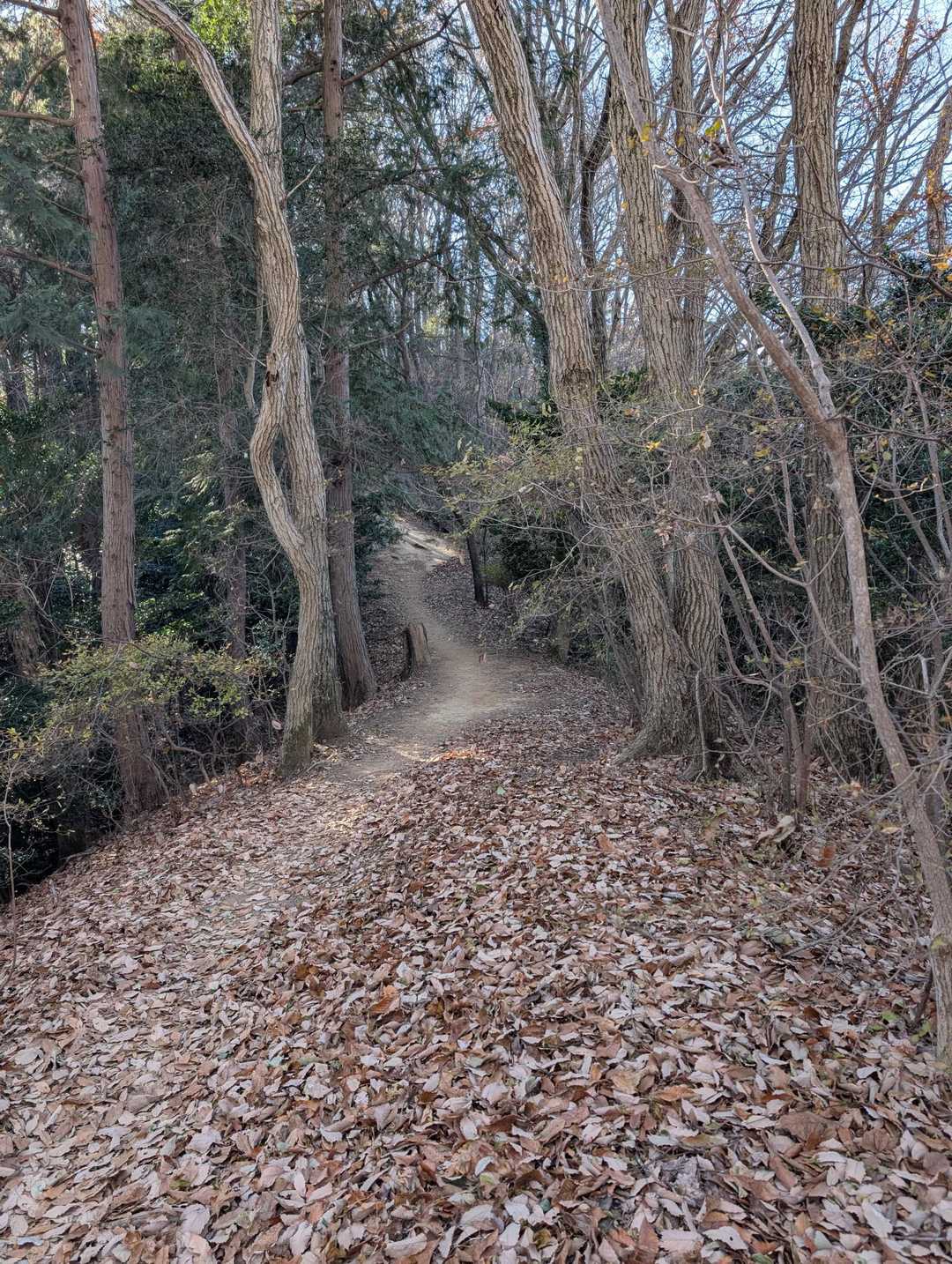 さて馬不入に向けて🚶