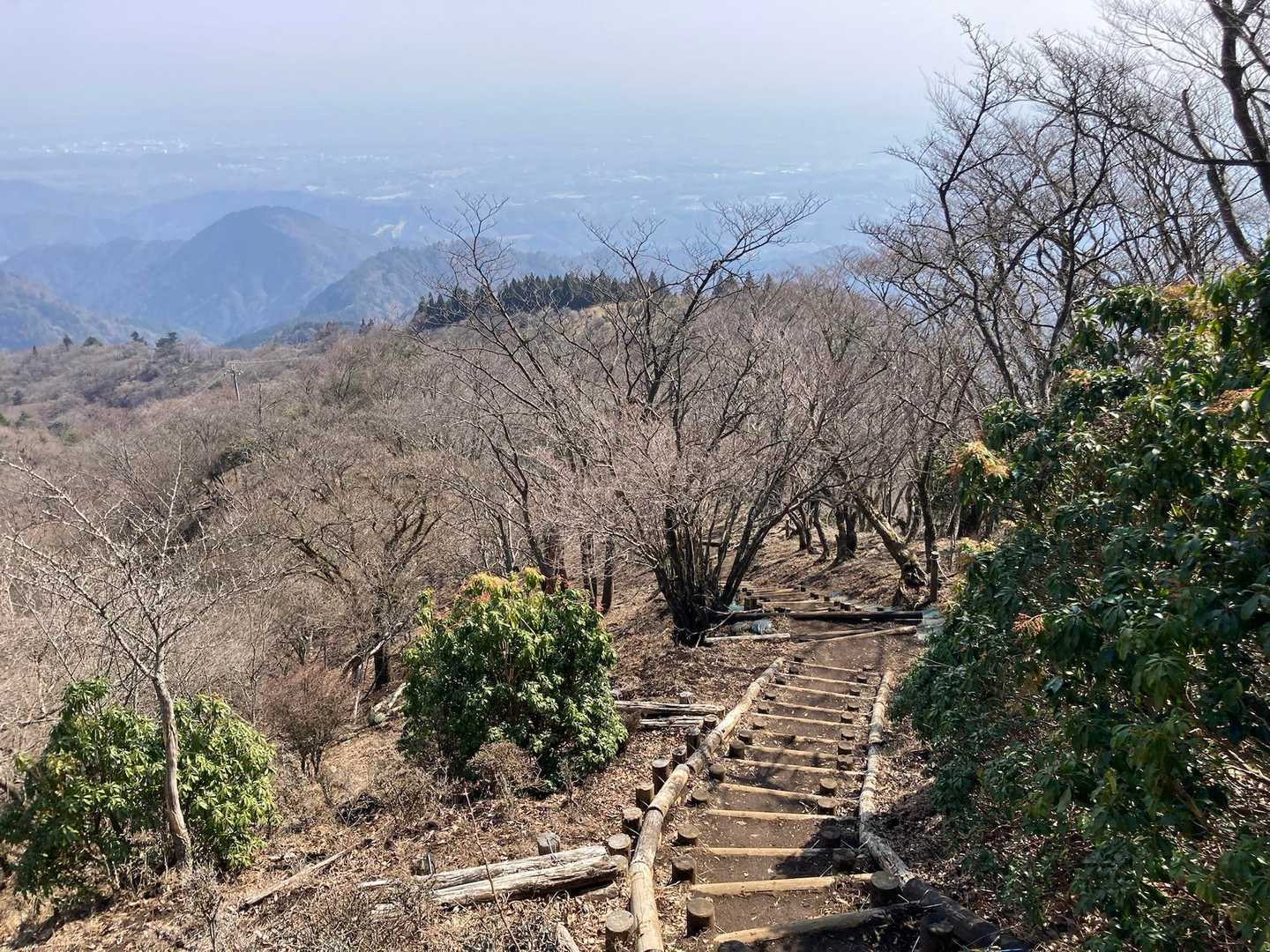 丹沢っぽいー♪
