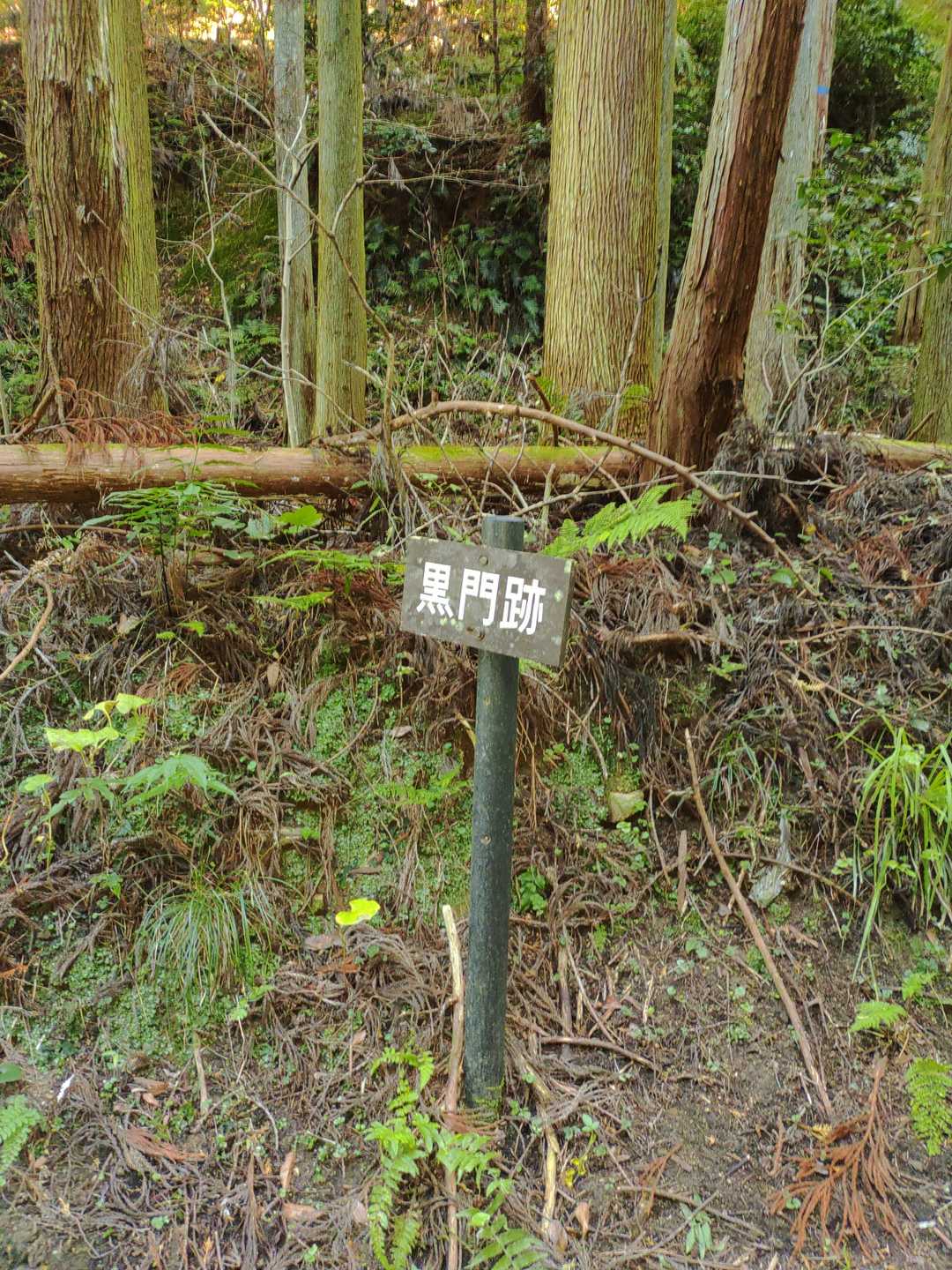 高取山 往復コースの写真