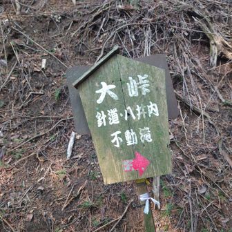 大峠。ここから日本三百名山の竜門岳まで登るのですが、やはり起伏は少なく少し拍子抜け