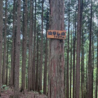 ここで飯能百名山の制覇を目指している登山者の方と出会う。この変わった名前の「山なし山」が飯能百名山の一座であることを教えていただいた。