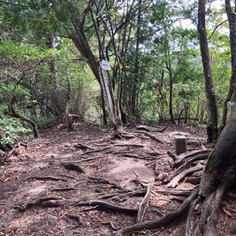 鎌倉寺山山頂