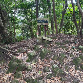 頂上ゆっくり休んで下山　この後トレランの真似事にトライ　走りきりました
