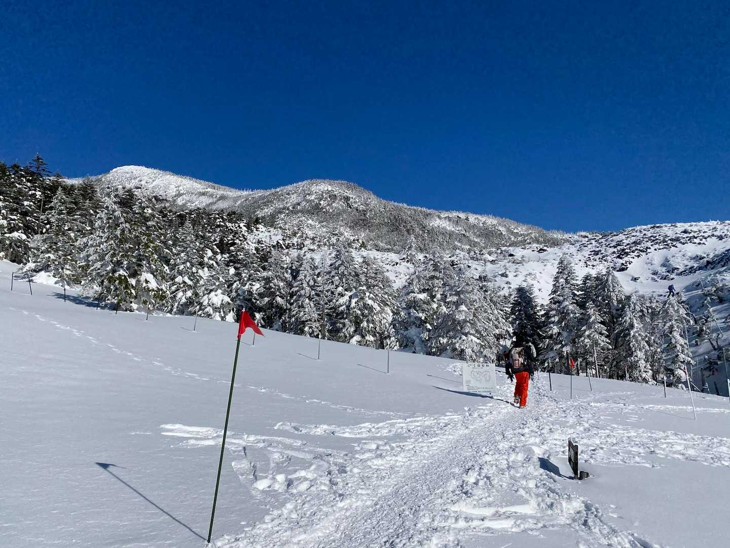 山頂を目指します。