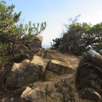 この岩の所に基準点が在ります