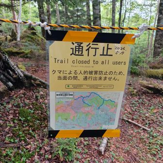 長沢背稜は🐻で通行止め
