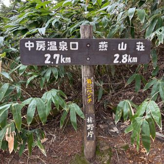 第三ベンチ
登りではなぜか気が付かず通り過ぎた😅