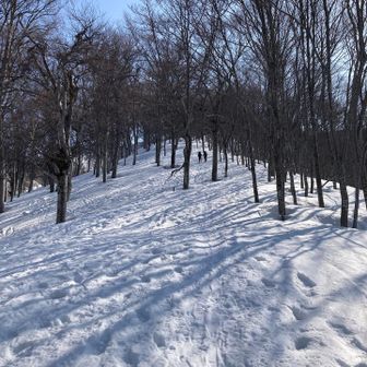 じみーに長い
でも朝だから歩きやすかった🚶
帰りはスボスボ…