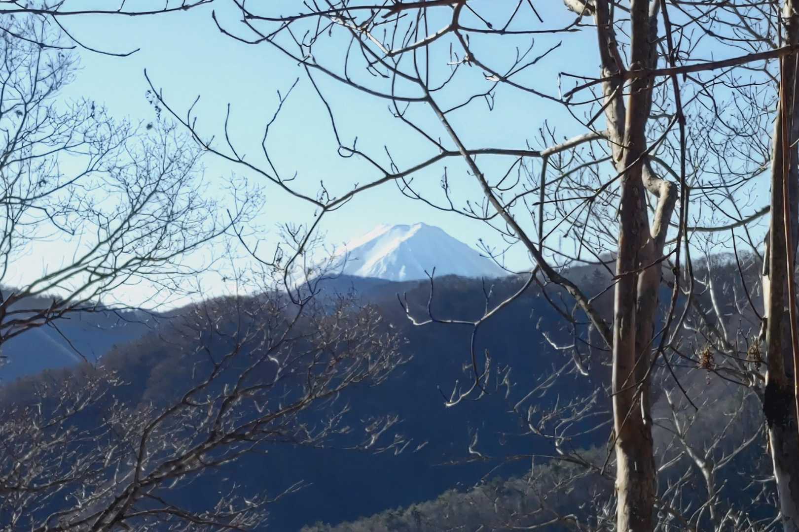 しゃがんで撮ったら木の隙間から撮れた🥰
