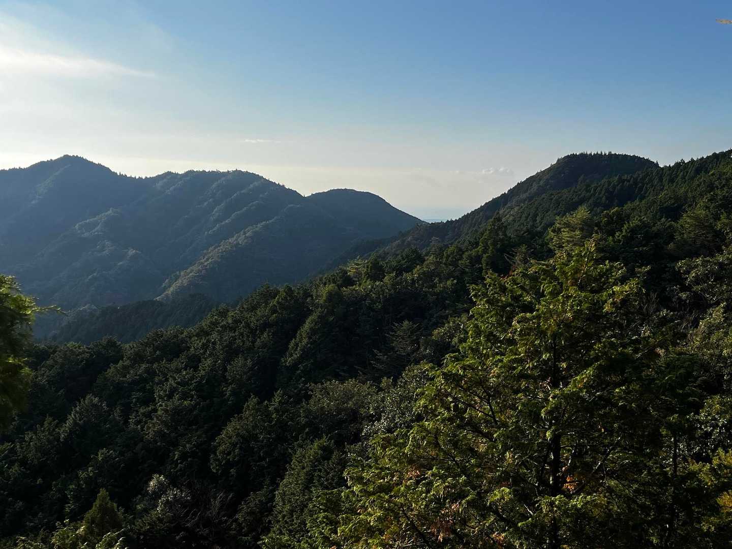 烏帽子山俵石登山口-烏帽子山 往復コースの写真