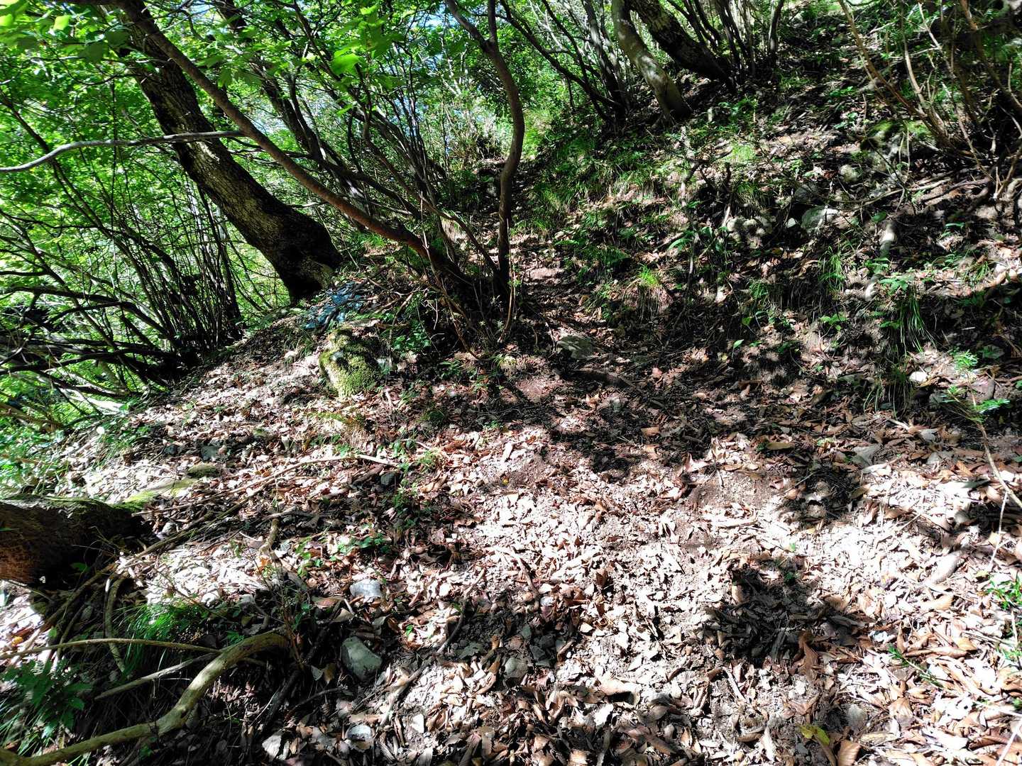 登山道へ