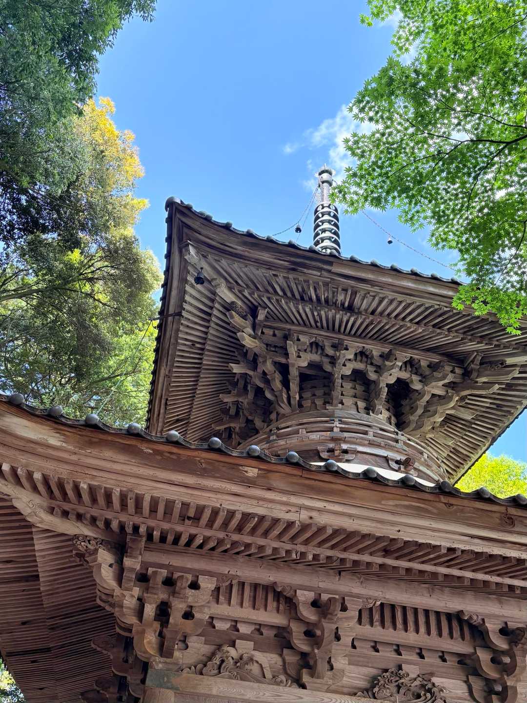 温泉寺コースを下山
『多寳塔』